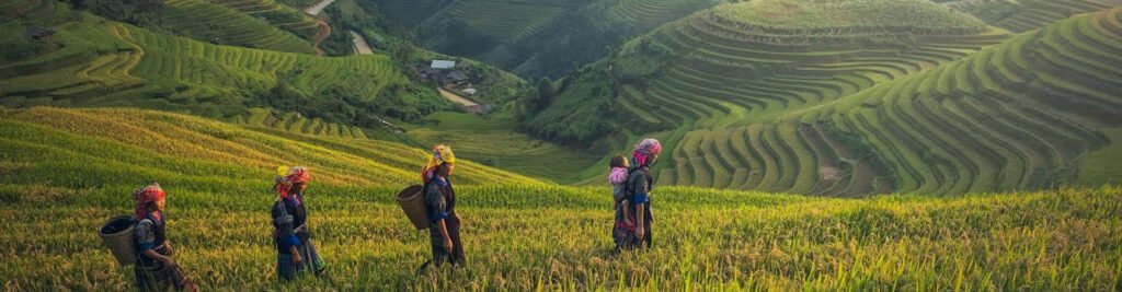 Yoga-Teacher-Training-in-Chiang Mai